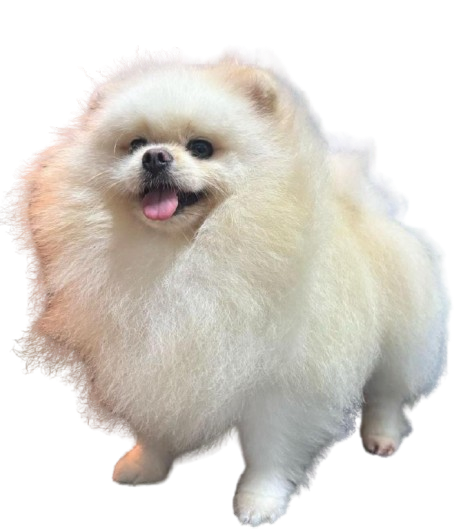 photo 2025 09 02 17 10 10 removebg preview