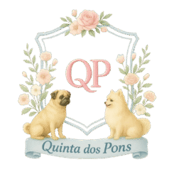 logo qp