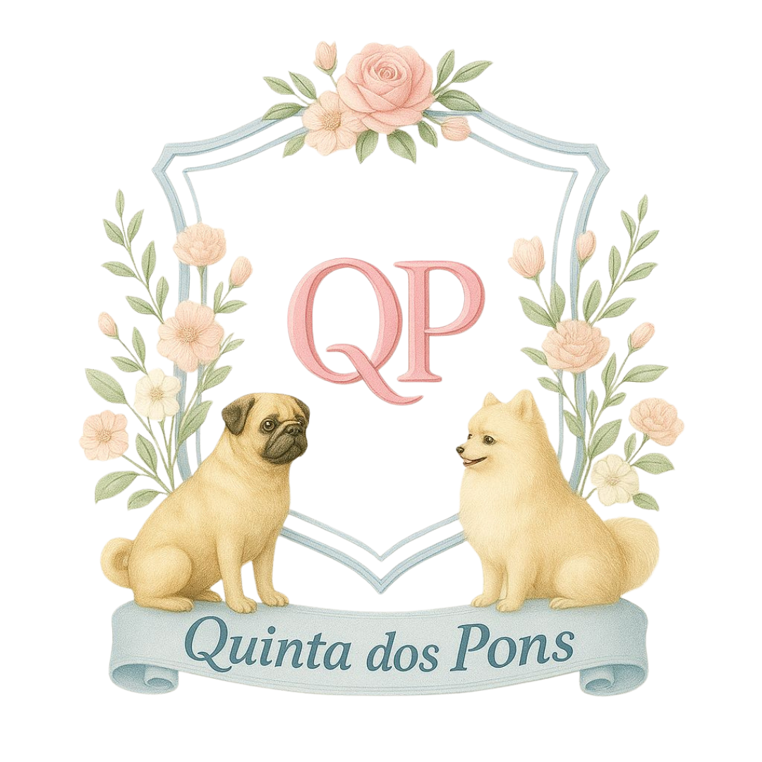 logo qp